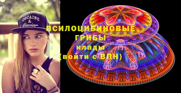 индика Алексеевка