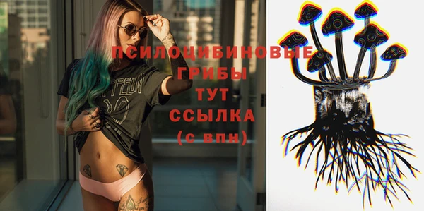 дживик Алзамай