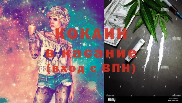 дживик Алзамай